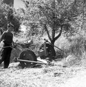 persone (Positivo) di Groth-Schmachtenberger, Erika (1971/01/01 - 1971/12/31)