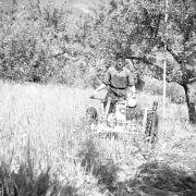 paesaggio (Positivo) di Groth-Schmachtenberger, Erika (1971/01/01 - 1971/12/31)