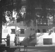 persone (Positivo) di Groth-Schmachtenberger, Erika (1956/01/01 - 1956/12/31)