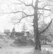 paesaggio (Positivo) di Groth-Schmachtenberger, Erika (1969/01/01 - 1969/12/31)