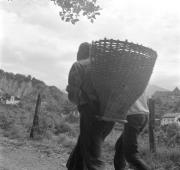 paesaggio (Positivo) di Groth-Schmachtenberger, Erika (1971/01/01 - 1971/12/31)