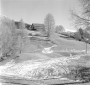 paesaggio (Positivo) di Groth-Schmachtenberger, Erika (1951/01/01 - 1951/12/31)