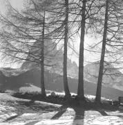 paesaggio (Positivo) di Groth-Schmachtenberger, Erika (1951/01/01 - 1951/12/31)