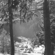 paesaggio (Positivo) di Groth-Schmachtenberger, Erika (1951/01/01 - 1951/12/31)