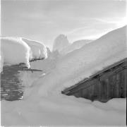 paesaggio (Positivo) di Groth-Schmachtenberger, Erika (1951/01/01 - 1951/12/31)