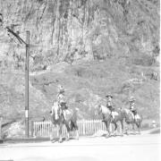 persone (Positivo) di Groth-Schmachtenberger, Erika (1954/01/01 - 1954/12/31)