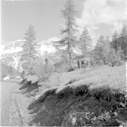 paesaggio (Positivo) di Groth-Schmachtenberger, Erika