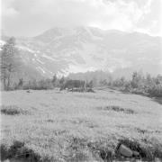 paesaggio (Positivo) di Groth-Schmachtenberger, Erika
