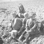 paesaggio (Positivo) di Groth-Schmachtenberger, Erika (1956/01/01 - 1956/12/31)