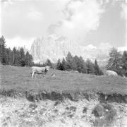 paesaggio (Positivo) di Groth-Schmachtenberger, Erika