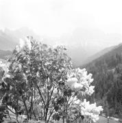 paesaggio (Positivo) di Groth-Schmachtenberger, Erika