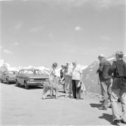 paesaggio (Positivo) di Groth-Schmachtenberger, Erika (1971/01/01 - 1971/12/31)