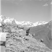 paesaggio (Positivo) di Groth-Schmachtenberger, Erika (1971/01/01 - 1971/12/31)