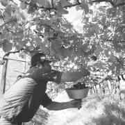 persone (Positivo) di Groth-Schmachtenberger, Erika (1969/01/01 - 1969/12/31)