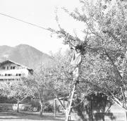 persone (Positivo) di Groth-Schmachtenberger, Erika (1969/01/01 - 1969/12/31)