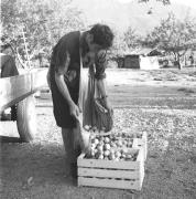 persone (Positivo) di Groth-Schmachtenberger, Erika (1969/01/01 - 1969/12/31)