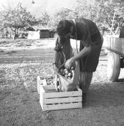 persone (Positivo) di Groth-Schmachtenberger, Erika (1969/01/01 - 1969/12/31)