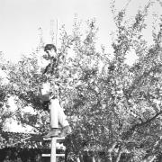 persone (Positivo) di Groth-Schmachtenberger, Erika (1969/01/01 - 1969/12/31)