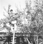 persone (Positivo) di Groth-Schmachtenberger, Erika (1969/01/01 - 1969/12/31)