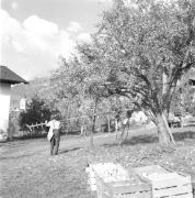 persone (Positivo) di Groth-Schmachtenberger, Erika (1969/01/01 - 1969/12/31)