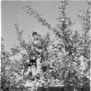 persone (Positivo) di Groth-Schmachtenberger, Erika (1969/01/01 - 1969/12/31)