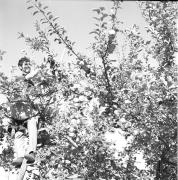 persone (Positivo) di Groth-Schmachtenberger, Erika (1969/01/01 - 1969/12/31)