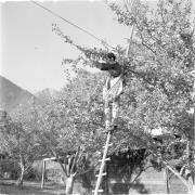 persone (Positivo) di Groth-Schmachtenberger, Erika (1969/01/01 - 1969/12/31)