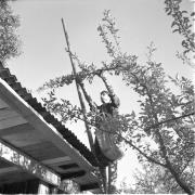 persone (Positivo) di Groth-Schmachtenberger, Erika (1969/01/01 - 1969/12/31)