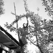 persone (Positivo) di Groth-Schmachtenberger, Erika (1969/01/01 - 1969/12/31)