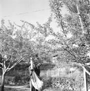 persone (Positivo) di Groth-Schmachtenberger, Erika (1969/01/01 - 1969/12/31)