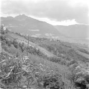 paesaggio (Positivo) di Groth-Schmachtenberger, Erika