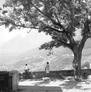 persone (Positivo) di Groth-Schmachtenberger, Erika (1969/01/01 - 1969/12/31)