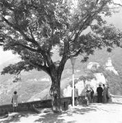 persone (Positivo) di Groth-Schmachtenberger, Erika (1969/01/01 - 1969/12/31)