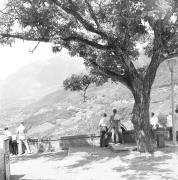 paesaggio (Positivo) di Groth-Schmachtenberger, Erika (1971/01/01 - 1971/12/31)