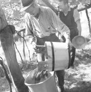 persone (Positivo) di Groth-Schmachtenberger, Erika (1969/01/01 - 1969/12/31)