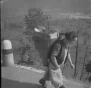 persone (Positivo) di Groth-Schmachtenberger, Erika (1969/01/01 - 1969/12/31)