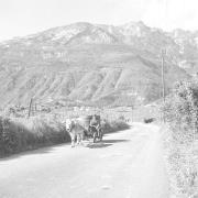 paesaggio (Positivo) di Groth-Schmachtenberger, Erika (1956/01/01 - 1956/12/31)