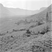 paesaggio (Positivo) di Groth-Schmachtenberger, Erika