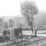 paesaggio (Positivo) di Groth-Schmachtenberger, Erika (1951/01/01 - 1951/12/31)