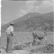 paesaggio (Positivo) di Groth-Schmachtenberger, Erika (1951/01/01 - 1951/12/31)