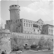 persone (Positivo) di Groth-Schmachtenberger, Erika (1954/01/01 - 1954/12/31)