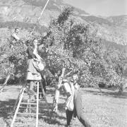 paesaggio (Positivo) di Groth-Schmachtenberger, Erika (1956/01/01 - 1956/12/31)