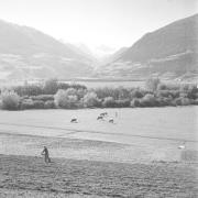 paesaggio (Positivo) di Groth-Schmachtenberger, Erika (1956/01/01 - 1956/12/31)