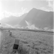 paesaggio (Positivo) di Groth-Schmachtenberger, Erika (1969/01/01 - 1969/12/31)