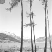 paesaggio (Positivo) di Groth-Schmachtenberger, Erika (1956/01/01 - 1956/12/31)