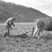 paesaggio (Positivo) di Groth-Schmachtenberger, Erika (1953/01/01 - 1953/12/31)