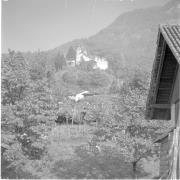 paesaggio (Positivo) di Groth-Schmachtenberger, Erika (1961/01/01 - 1961/12/31)