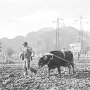 paesaggio (Positivo) di Groth-Schmachtenberger, Erika (1951/01/01 - 1951/12/31)