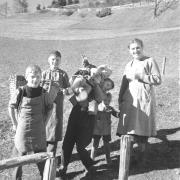 paesaggio (Positivo) di Groth-Schmachtenberger, Erika (1953/01/01 - 1953/12/31)