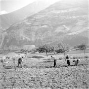 paesaggio (Positivo) di Groth-Schmachtenberger, Erika (1956/01/01 - 1956/12/31)